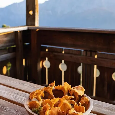 Chalet Kristemoarhuette *