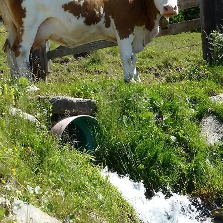 Kristemoarhuette Chalet