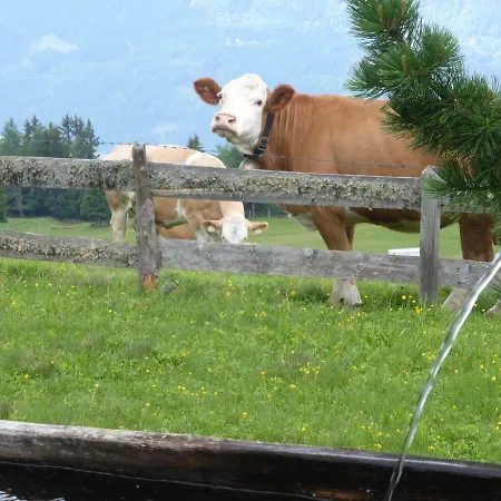 شاليه Kristemoarhuette *