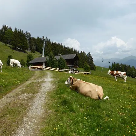 شاليه Kristemoarhuette *