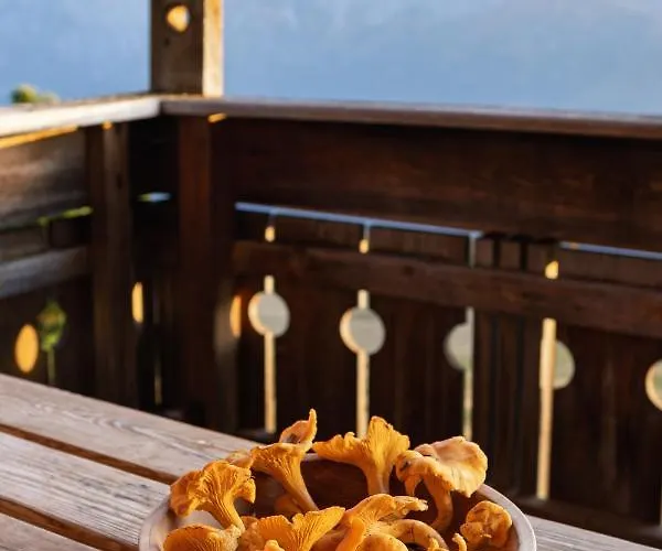 Horská chata Kristemoarhuette *