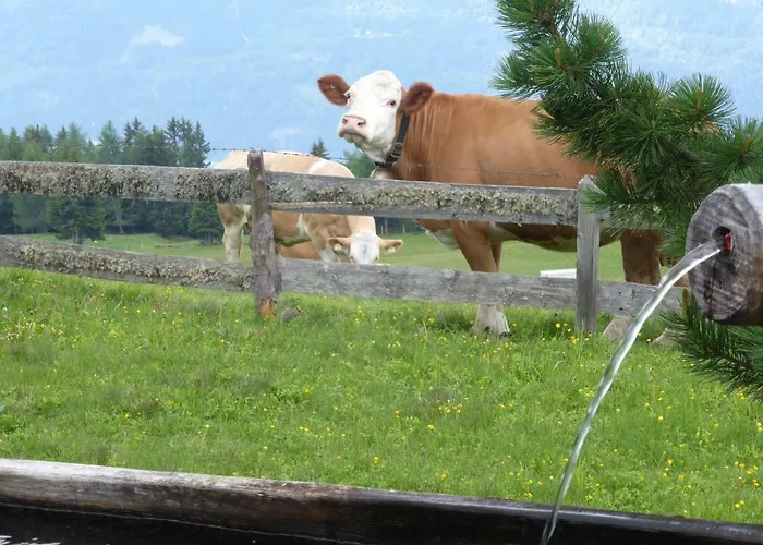 Horská chata Kristemoarhuette *