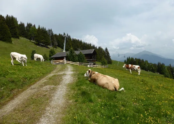 Horská chata Kristemoarhuette *
