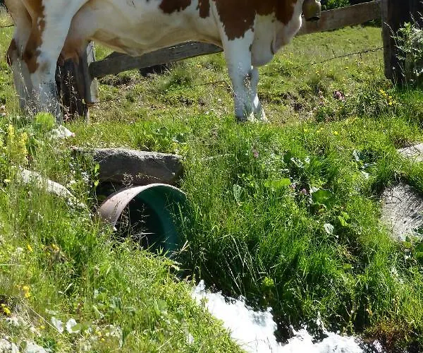 Kristemoarhuette Horská chata